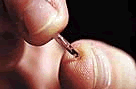 Microchip
