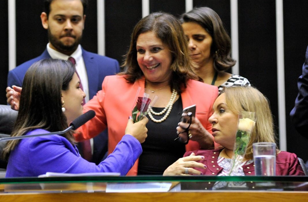 Bancada feminina construiu acordos para aprovação das propostas na Câmara dos Deputados