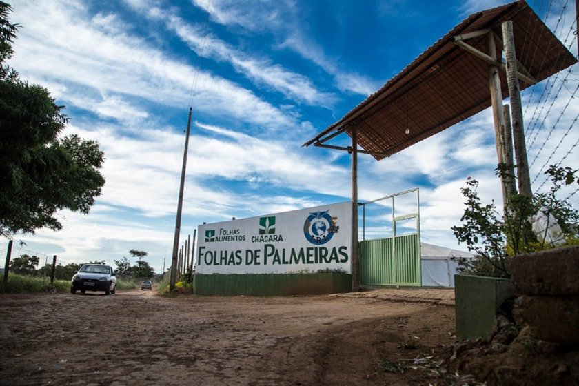Chácara no Gama, onde fica a Igreja Adventista Remanescentes de Laodiceia — Foto: TV Globo/Reprodução