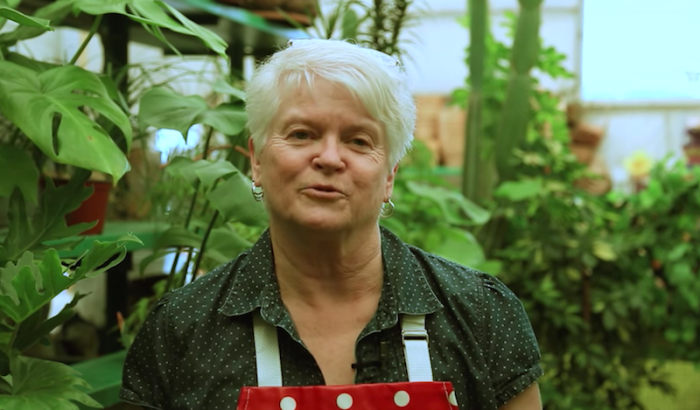 Barronelle Stutzman, dona da Arlene's Flowers em Richland, Washington