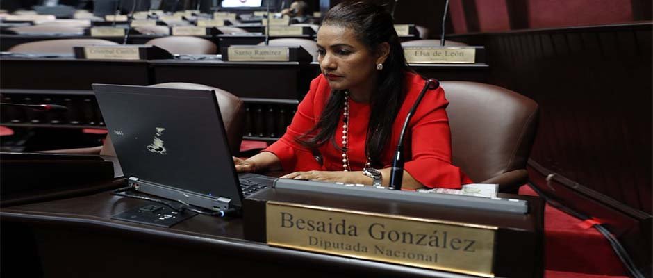 Deputada da República Dominicana, Besaida González