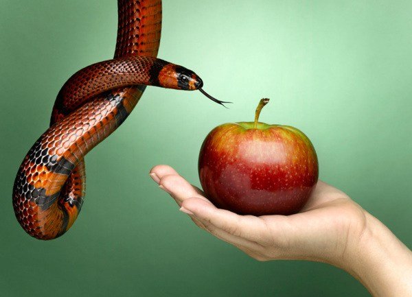 Ilustração do pecado original no Jardim do Éden Ilustração do pecado original no Jardim do Éden