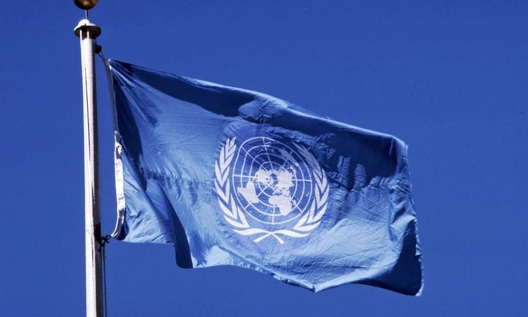 Bandeira da ONU