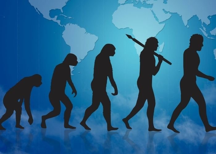 Teoria da Evolução