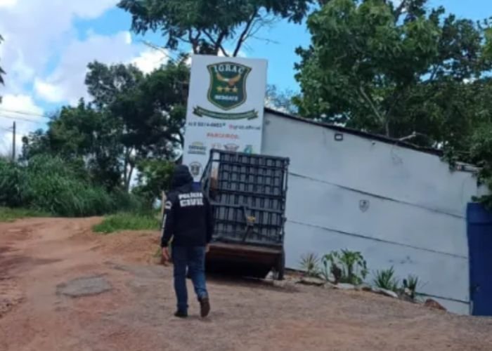 Igreja construída no Morro da Serrinha em Goiás (Foto: Reprodução/Polícia Civil)