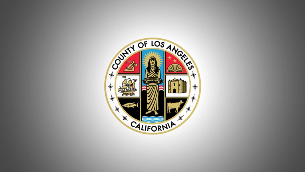 Engenheiro Eric Batman em frente a um prédio governamental em Los Angeles