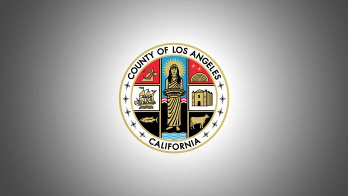 Engenheiro Eric Batman em frente a um prédio governamental em Los Angeles