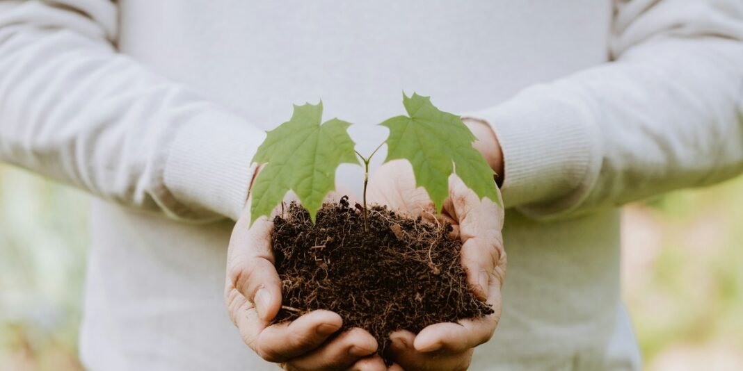 Pastor Joel Engel explicando o conceito de primícia em um púlpito