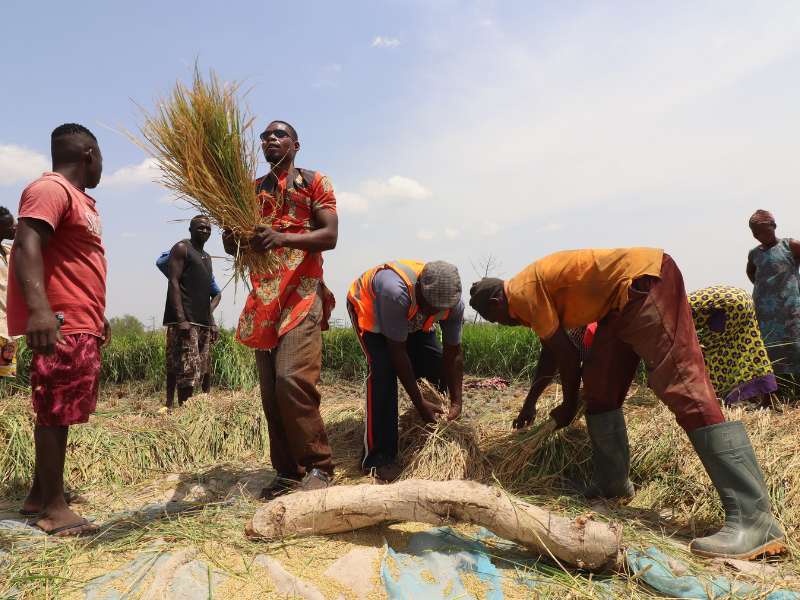 Cristão nigeriano sorri ao inspecionar sua banca de mercado restaurada, simbolizando resiliência econômica.