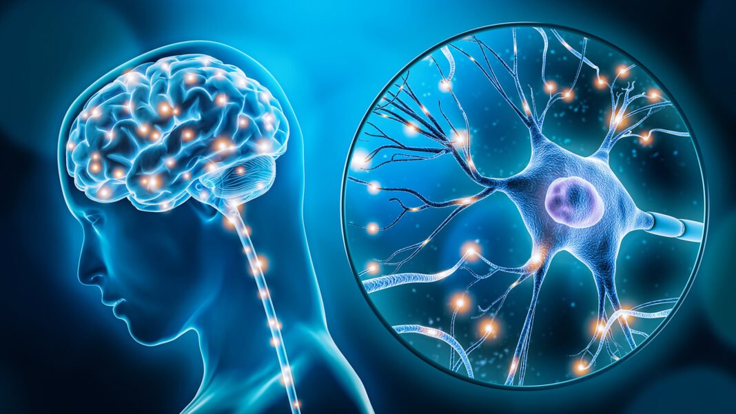 Neurocirurgião refletindo sobre a conexão entre neurociência e fé para a cura mental.