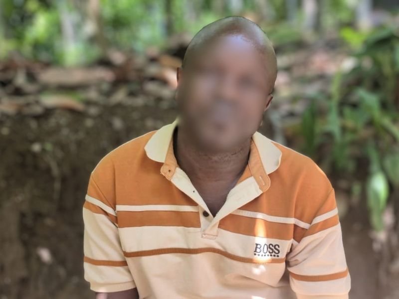Caminho em uma plantação de cacau representando o local da perseguição em Uganda
